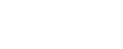 Commerce Ventures LLC Preview
